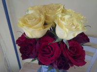 My Roses 2.jpg