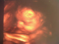 IMG00098-20110910-1704.jpg