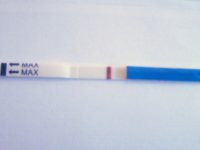 tests 002.JPG