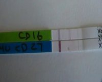 cd27, with opk.jpg