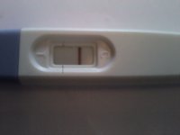 test1.jpg