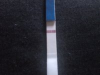 C3 12DPO line.jpg