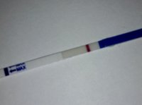 C15 6dpo cheapie.jpg