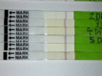 C15 7dpo OPKs.jpg