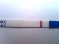 C3 13DPO.jpg