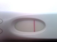 C3 13DPO frer.jpg