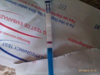 IMAG0261.jpg