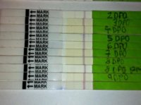 C15 OPKs 10 dpo.jpg