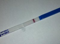 C15 faulty cheapie 10dpo.jpg