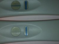 C15 12dpo wet an dry boots.jpg