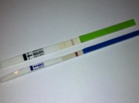 C15 12dpo cheapie and opk.jpg