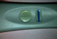 C 15 12dpo boots wet.jpg