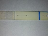 C15 13dpo clearblue +.jpg