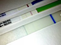 C15 14dpo ch opk and clearblue+.jpg