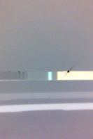 ImageUploadedByTapatalk1318528112.405342.jpg