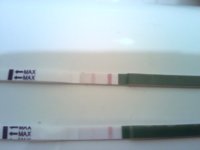 CD4 OPK CD1617.jpg