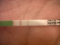 IMG00263-20111013-2117.jpg