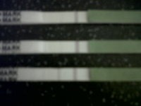 IMG00271-20111013-2142.jpg