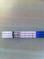 opk3.JPG
