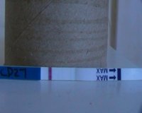 hpt 10dpo.JPG