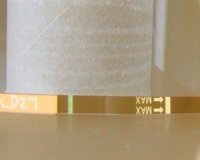 hpt 10dpo Invert.JPG