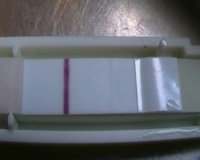 10dpo tesco.jpg