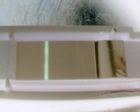 10dpo tesco Invert.jpg