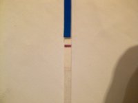 IMG-20111020-00054.jpg