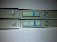 C16 CBD OPK CD 24.jpg