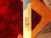 photo[.JPG