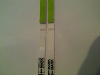 IMG-20111027-00057.jpg