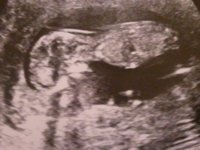2011-10-28 07.53.28.jpg