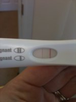 preg.jpg
