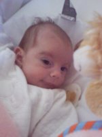 Copy of Photo0228.jpg