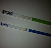 C16 OPK and HPT 12DPO PM.jpg