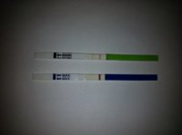 C16 OPK and HPT 14dpo.jpg