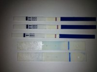 C16 15dpo cheapies and clearblue Cd14+15.jpg