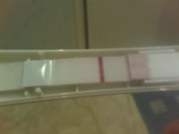 ImageUploadedByTapatalk1320932724.363229.jpg