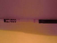 C5 OPK CD15.jpg