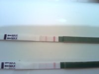 C4 OPK CD1617.jpg