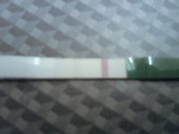 CD11.jpg