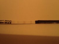 CD18.jpg