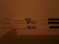 20111120.jpg