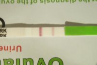 opk.jpg