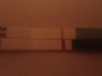 C5 CD31.jpg