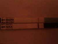 C5 CD30.jpg