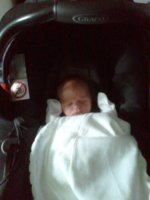 1 day old - going home.jpg