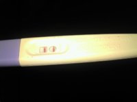 pregnant.jpg