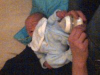 Ards-20111124-00160.jpg