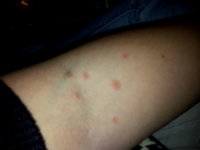 2011-12-10 22.46.15.jpg